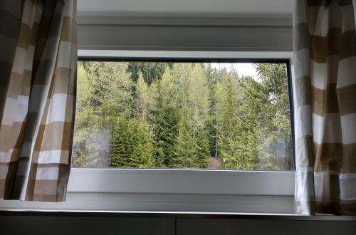 a window with a view of a forest at Appartement Hardenack in Innerkrems