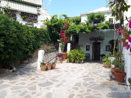a courtyard with potted plants and a building at La Posada Amena in Carcabuey