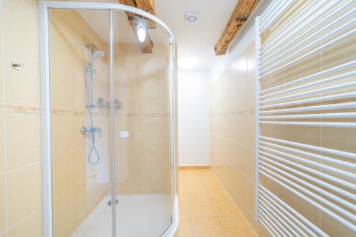 a shower with a glass door in a bathroom at Chata Hermann - Vernířovice in Vernířovice