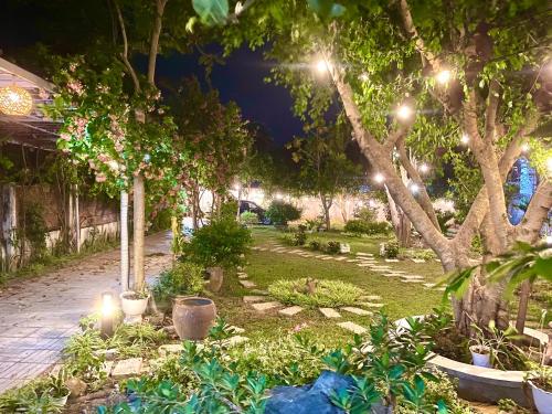 Taman di luar LQ villa -Long Hải
