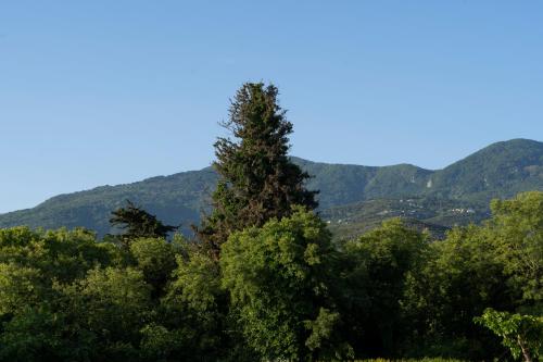 Φυσικό τοπίο κοντά σε αυτή η βίλα