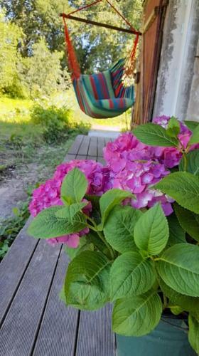 Gallery image of Cousy historical house near Peipsi lake in Kodavere