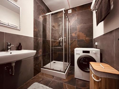 uma casa de banho com uma máquina de lavar roupa e um lavatório em Sherlock Holmes Boutique Hotel em Lviv