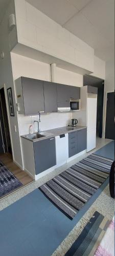 Dapur atau dapur kecil di Kontiolomat Oy