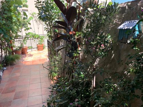 Gallery image of Apartments Lov in Budva
