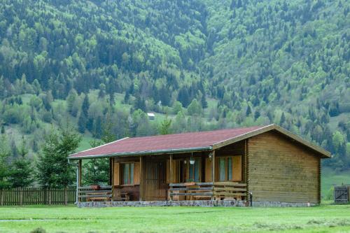 a log cabin in a field with a mountain at Biotour Camping & Restaurant in Ghimeş