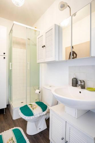 une salle de bain avec un lavabo et une douche dans l'établissement Magnifique Apt entièrement équipé proche des 24h du Mans, au Mans