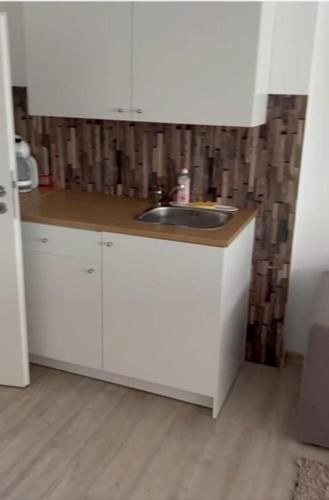 - un comptoir de cuisine avec évier dans la chambre dans l'établissement Gemütliches Ferienzimmer in Neukirchen, à Braunfels