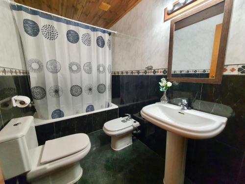 uma casa de banho com um WC, um lavatório e um espelho. em VIelha V em Vielha