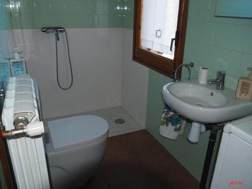 a bathroom with a toilet and a sink at CA L'ANELLA (SALDES) in Saldés