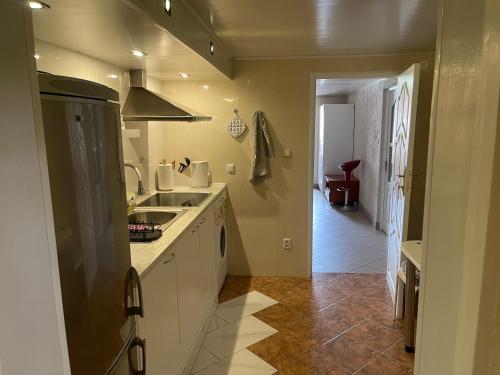 Kuchyň nebo kuchyňský kout v ubytování Guest House Vilnius