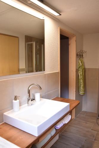 ein Badezimmer mit einem weißen Waschbecken und einem Spiegel in der Unterkunft Jörgenbauerhütte in Spital am Pyhrn