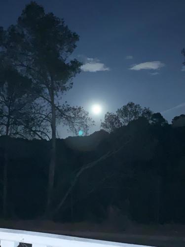 a moonlit night with a tree in the foreground at Casa kintsugi in Masquefa