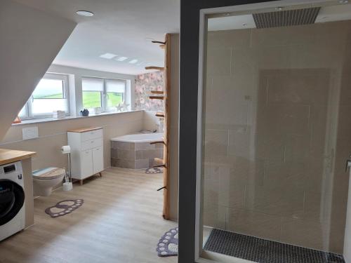 a bathroom with a shower and a toilet and a sink at HarzRitter Domizil in Cattenstedt