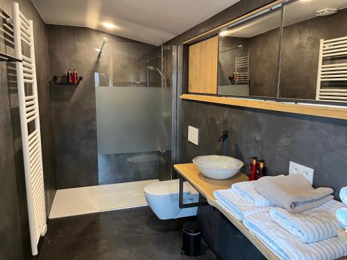 a bathroom with a shower and a sink and a toilet at Beau Réveil nature & wellness - gite 2 in Dochamps