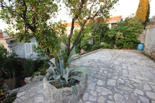 a tree sitting on top of a stone patio at Apartman Mafini in Krasici