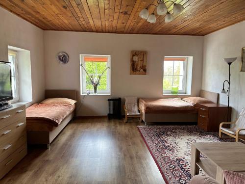 1 dormitorio con 2 camas, TV y alfombra en Kamenný dům Bezdědice-Máchův kraj, en Bezdědice