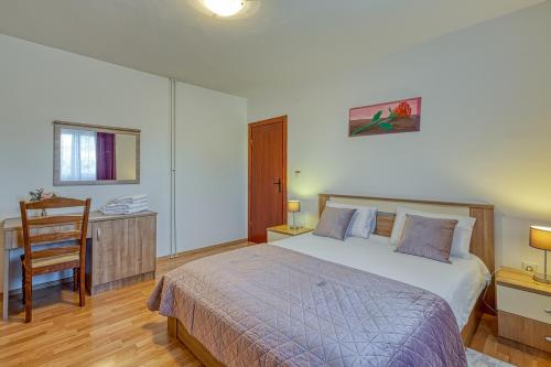 a bedroom with a bed and a desk and a chair at Apartment Maružini in Kanfanar