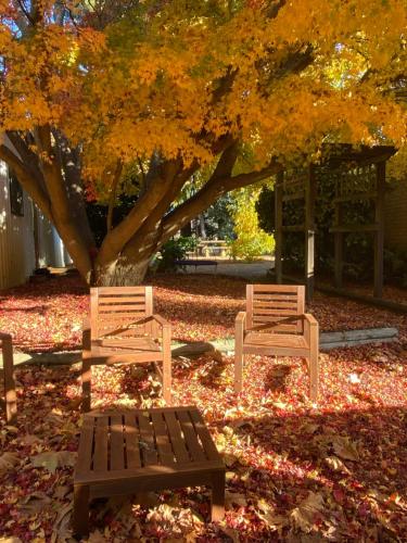 two benches sitting in the leaves under a tree at Relaxing at acreage farmhouse in Burrawang