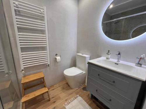 Un baño con inodoro, lavabo y espejo. en Los Girasoles, en Comillas