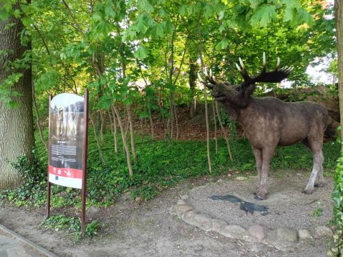 a moose standing next to a sign in a park at MoryńApartments in Moryń