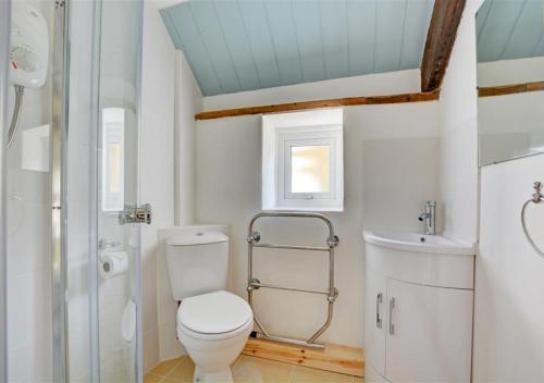 a bathroom with a toilet and a sink at The Stables in Whitland