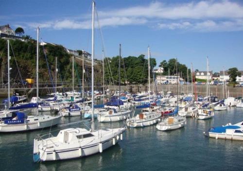 a bunch of boats are docked in a harbor at The Stables in Whitland