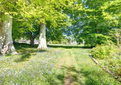 a field with trees and flowers in a park at The Dairy in Llandegfan