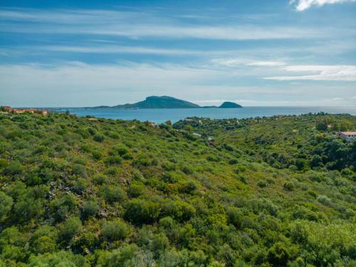 an aerial view of a hill with trees and the ocean at Holiday Home Pietra by Interhome in Pittulongu