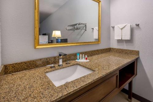 a bathroom with a sink and a mirror at Travelodge by Wyndham Appleton in Appleton