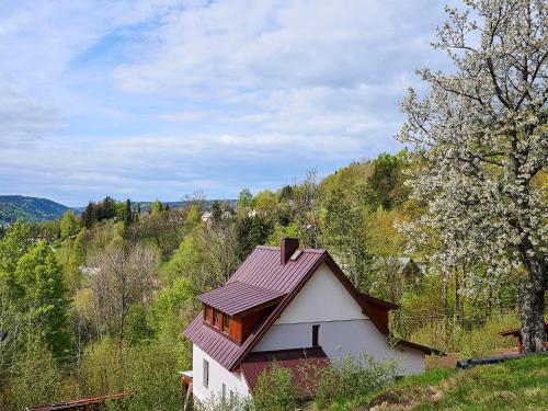 a small house with a brown roof on a hill at Holiday Home Tanvald by Interhome in Tanvald
