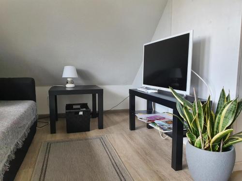 TV a/nebo společenská místnost v ubytování Ferienwohnung Sandgärten