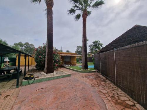 a patio with two palm trees and a fence at Apartamento cerca de la playa in Chiclana de la Frontera