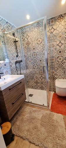 une salle de bain avec une douche avec des toilettes et un lavabo dans l'établissement Alsace Bas-Rhin Logis indépendant avec piscine privée, à Alteckendorf