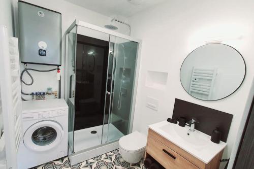 uma casa de banho com um lavatório e uma máquina de lavar roupa em Charmant studio en centre-ville em Saint-Dié-des-Vosges