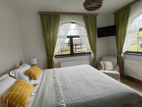 a bedroom with a large bed and two windows at Casa meșterului in Sohodol