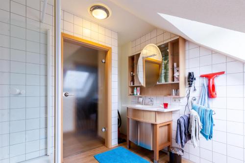 a bathroom with a sink and a mirror at Ferienwohnung Fischer in Bröckel