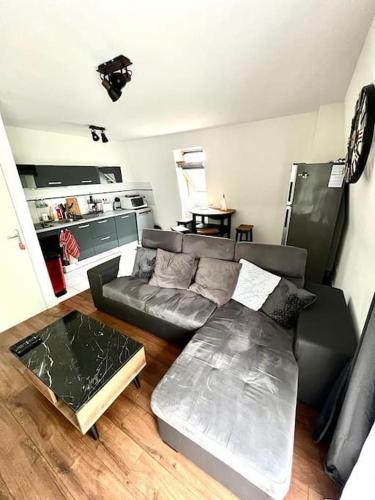 un salon avec un canapé et une table dans l'établissement Grand appartement, calme, proche centre-ville, à Pau