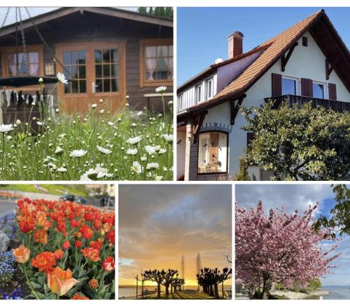 un collage de fotos de flores y una casa en Ferienhaus Jutta am Bodensee, en Uhldingen-Mühlhofen