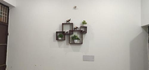 a white wall with two shelves with plants on it at Kridha holidays homestay with kitchen in Vrindāvan