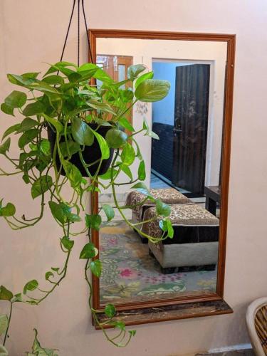a mirror with a potted plant in front at Kridha holidays homestay with kitchen in Vrindāvan