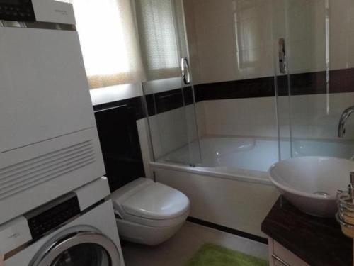 een badkamer met een toilet, een wastafel en een wasmachine bij Haus am Sternsberg in Sternenberg