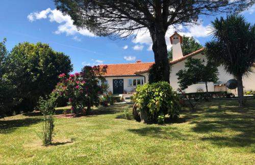 Casas Viriatus - Turismo Rural