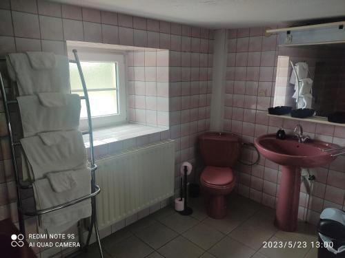 een badkamer met een rood toilet en een wastafel bij Au Bon Vieux Port Maison de vacances Alsacienne à 10mn de Ribeauvillé, Riquewihr et Kaysersberg in Sélestat