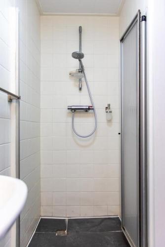 een badkamer met een douche en een wastafel bij Bed and Breakfast Harvey suite in Delden