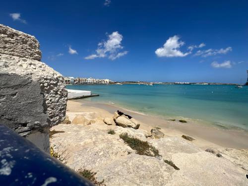 a beach with rocks and the ocean and a city at The Beach House in Birżebbuġa