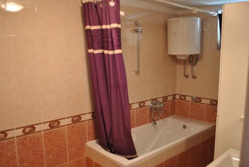 普拉的住宿－Old Town Uspon，一间带紫色淋浴帘浴缸的浴室