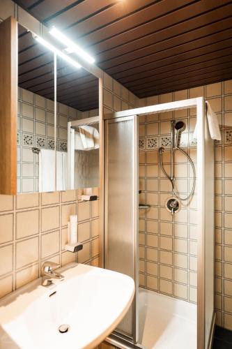 a bathroom with a sink and a shower at PANORAMA SportHOTEL in Wenigzell