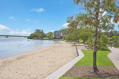 a sandy beach with a tree next to the water at Pet Pawfect Coastal Stay in Maroochydore