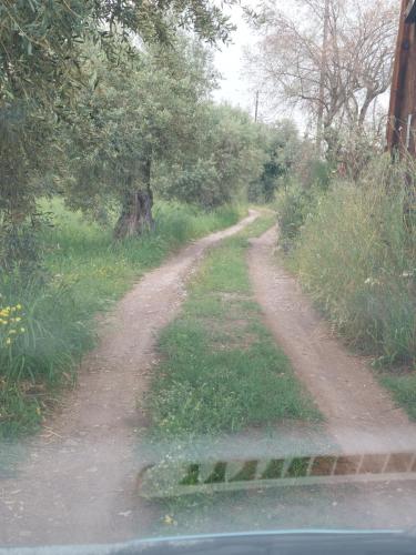 Φυσικό τοπίο κοντά σε αυτό το διαμέρισμα